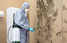 Best Mold Documentation for Insurance Claims  in Rosedale, CA